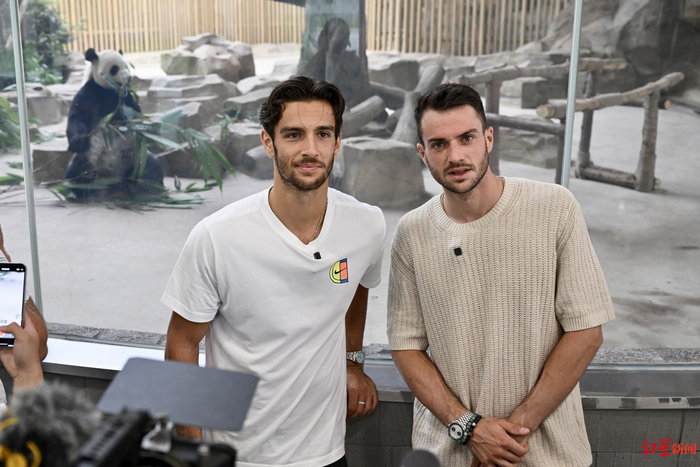 和欧文在进 和欧文在进