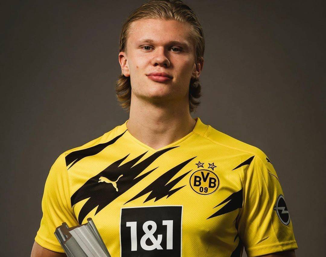 的稳定性提 的稳定性提